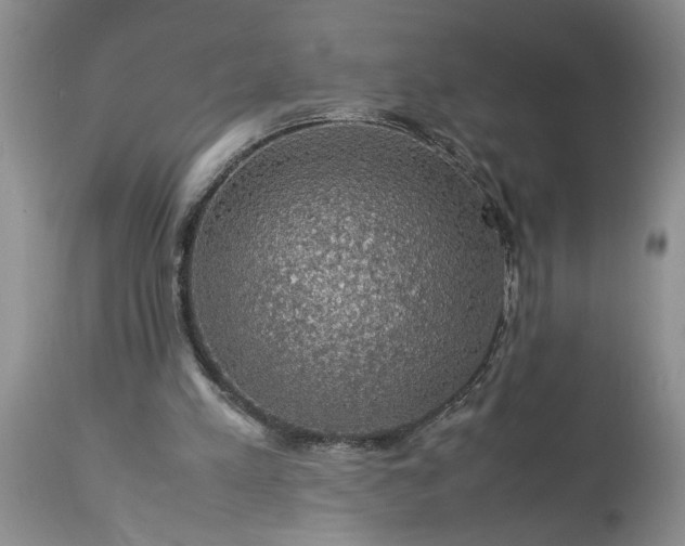 X0000113600197200910021749