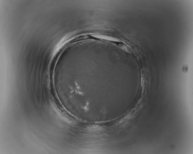 X0000113600198200910021749