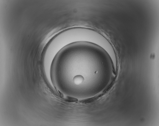 X0000113600199200910021749