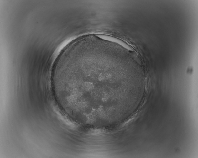 X0000113600200200910021749