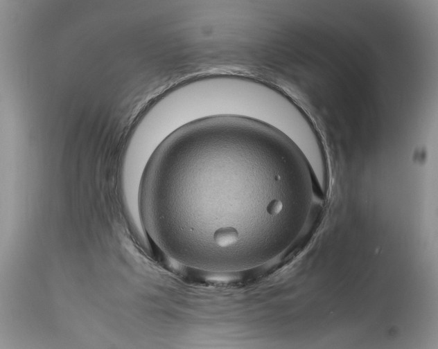 X0000113600201200910021749