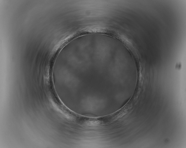 X0000113600202200910021749