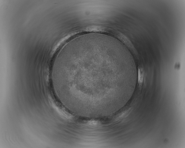 X0000113600204200910021749