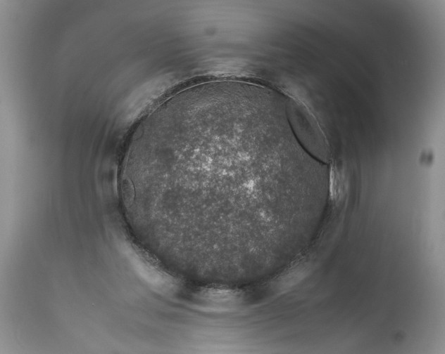 X0000113600205200910021749