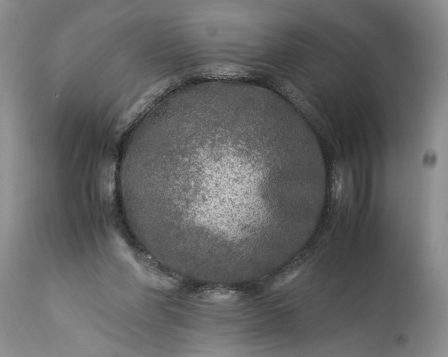 X0000113600206200910021749