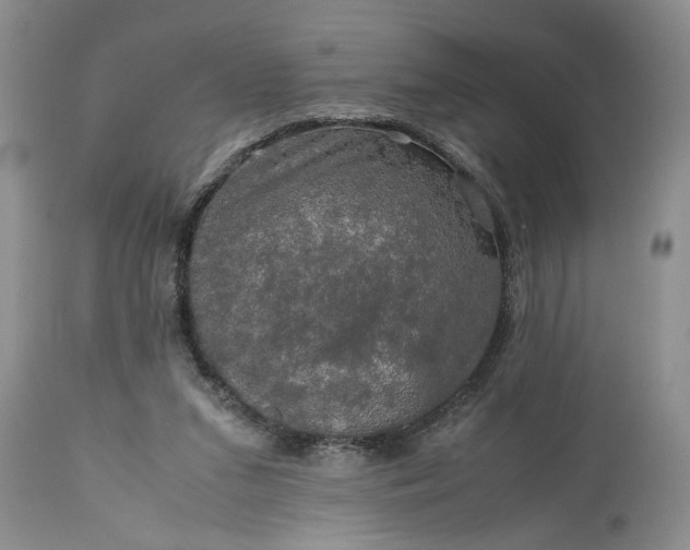 X0000113600207200910021749