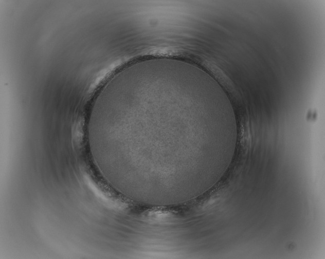 X0000113600208200910021749