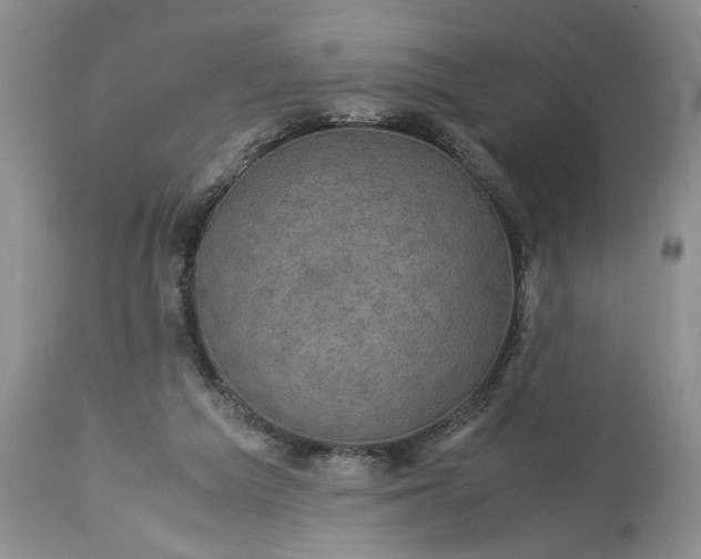 X0000113600209200910021749