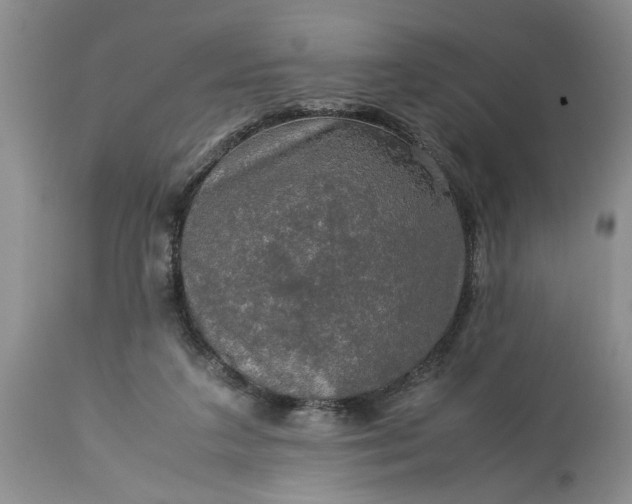 X0000113600211200910021749