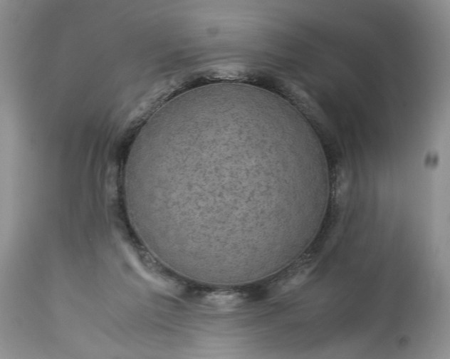 X0000113600213200910021749