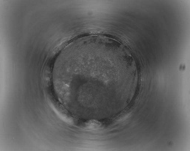 X0000113600215200910021748