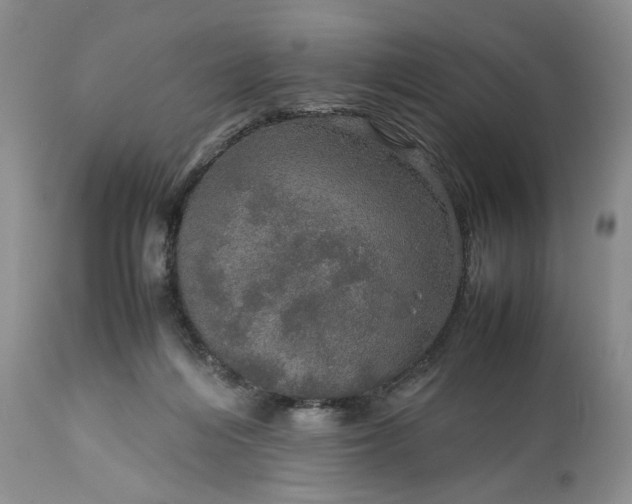 X0000113600216200910021748