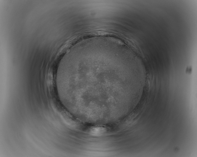 X0000113600220200910021748