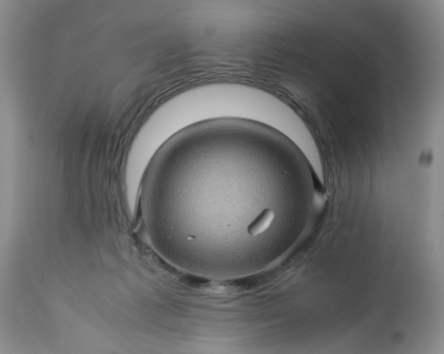 X0000113600221200910021748