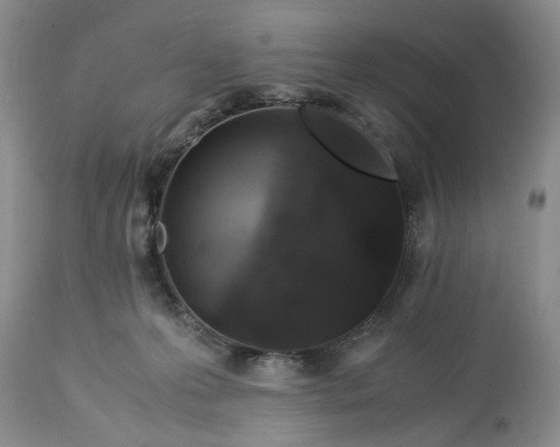 X0000113600223200910021748