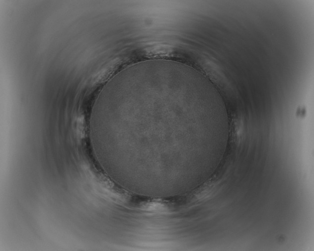 X0000113600224200910021748