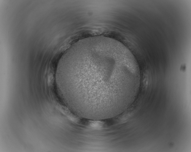 X0000113600226200910021748