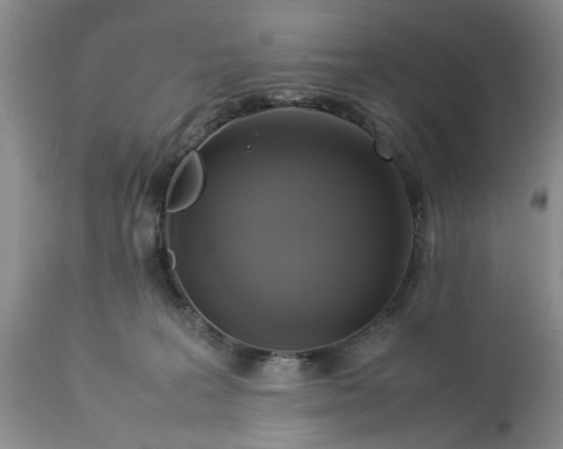 X0000113600227200910021748