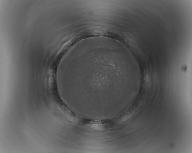 X0000113600228200910021748