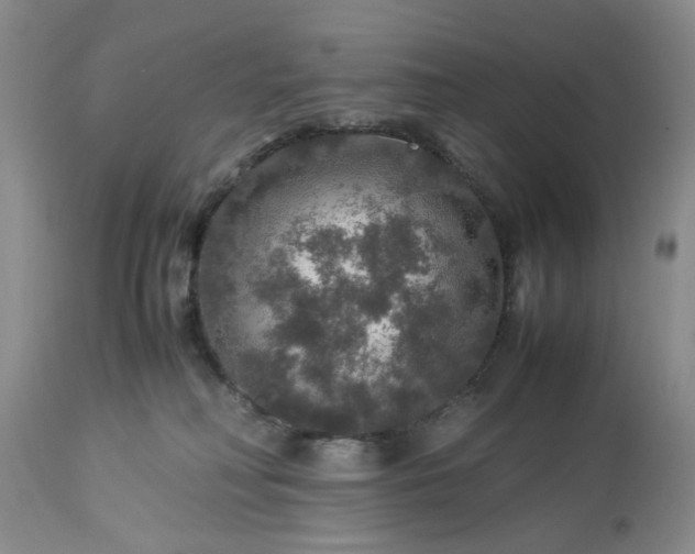 X0000113600230200910021748