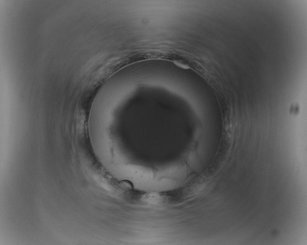 X0000113600231200910021748