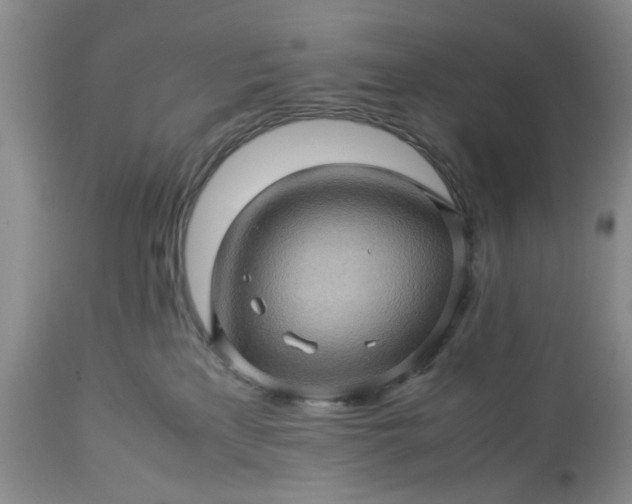 X0000113600233200910021748