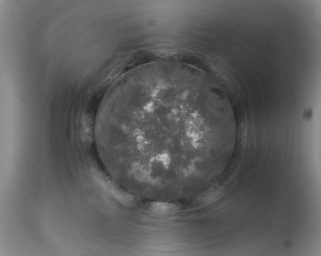 X0000113600234200910021748