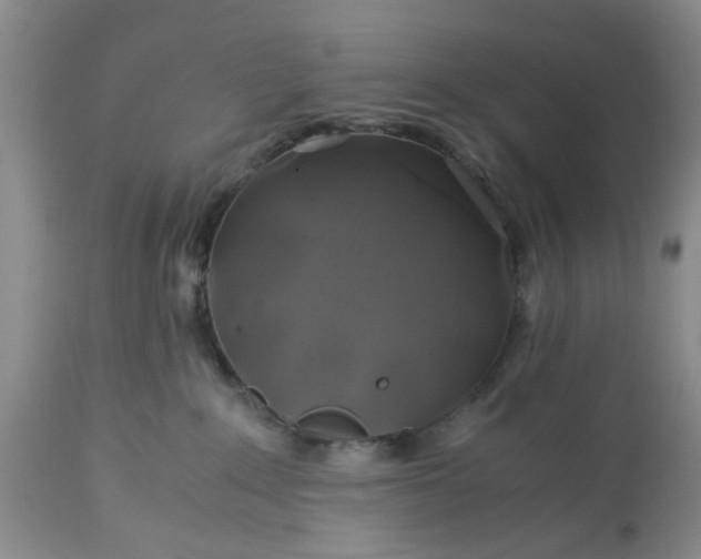 X0000113600235200910021748