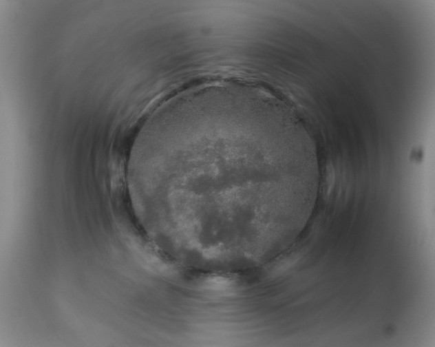 X0000113600236200910021748