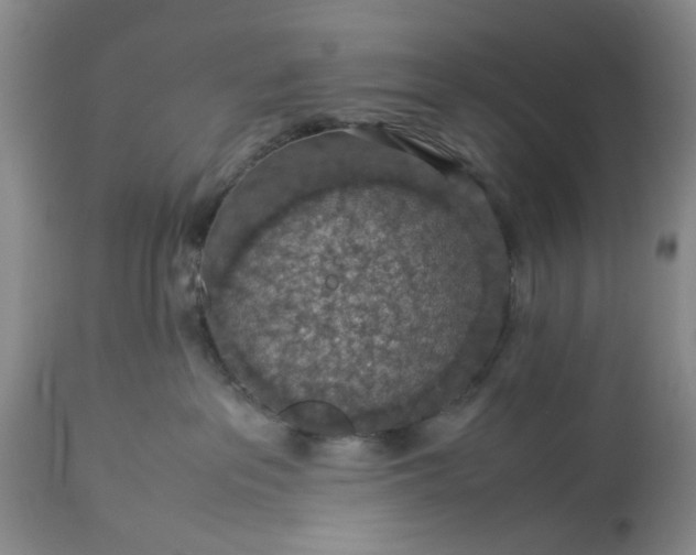 X0000113600237200910021748