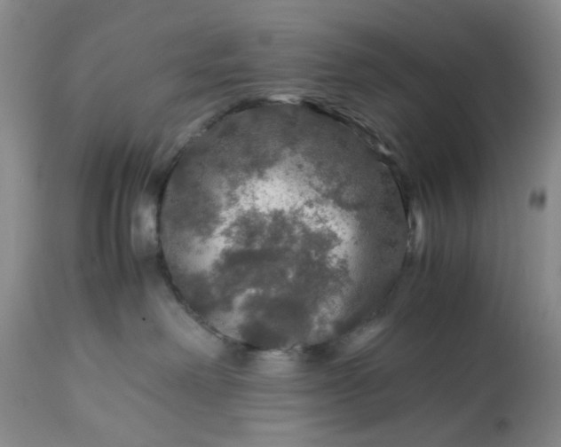 X0000113600238200910021748