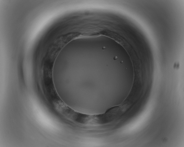 X0000113600239200910021748