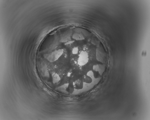 X0000113600241200910021747