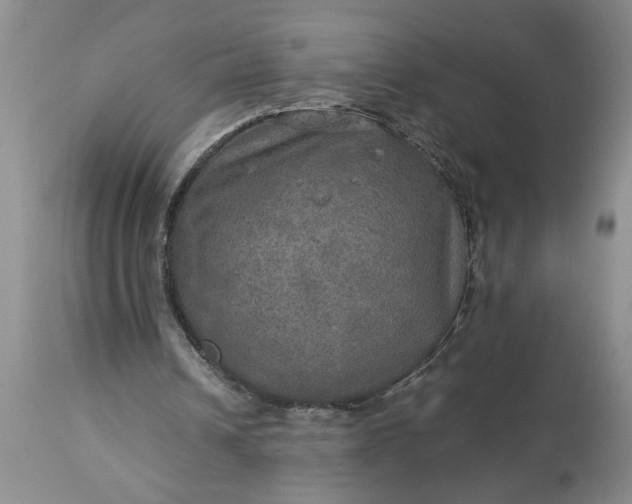 X0000113600242200910021747