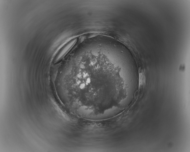 X0000113600243200910021747