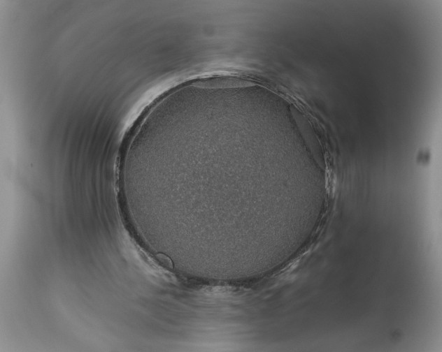 X0000113600244200910021747