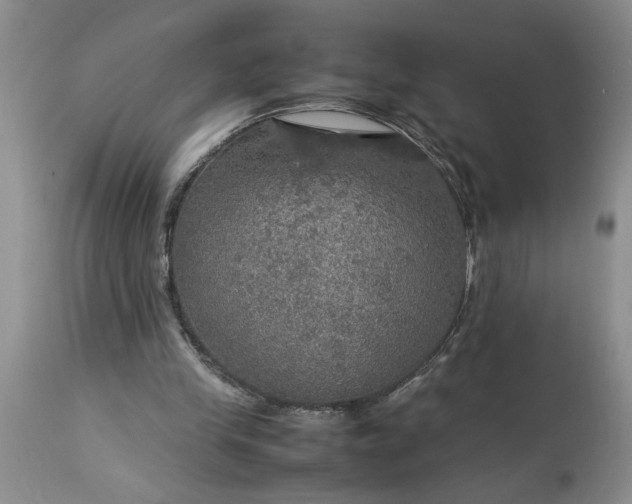 X0000113600245200910021747