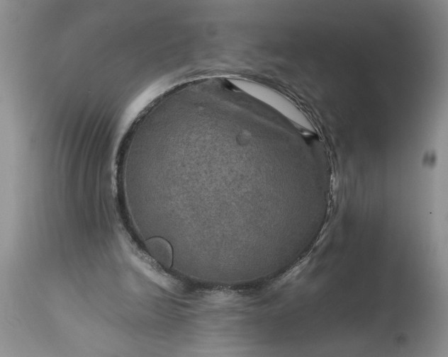 X0000113600246200910021747