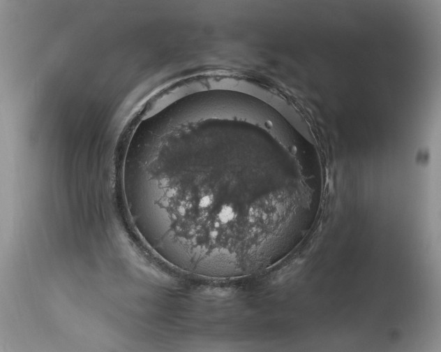 X0000113600247200910021747