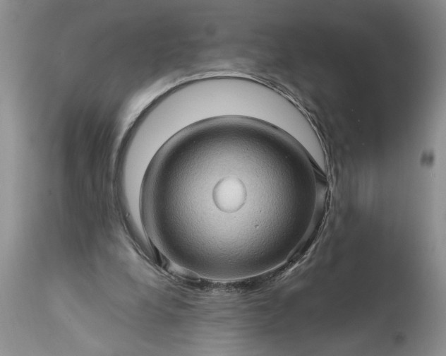 X0000113600248200910021747