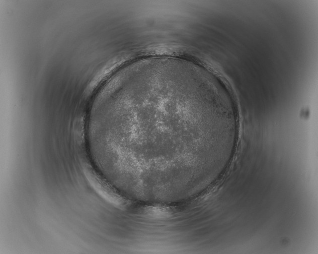 X0000113600250200910021747