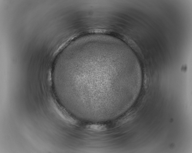 X0000113600251200910021747