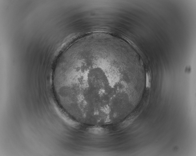 X0000113600253200910021747