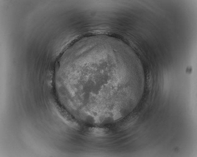 X0000113600255200910021747