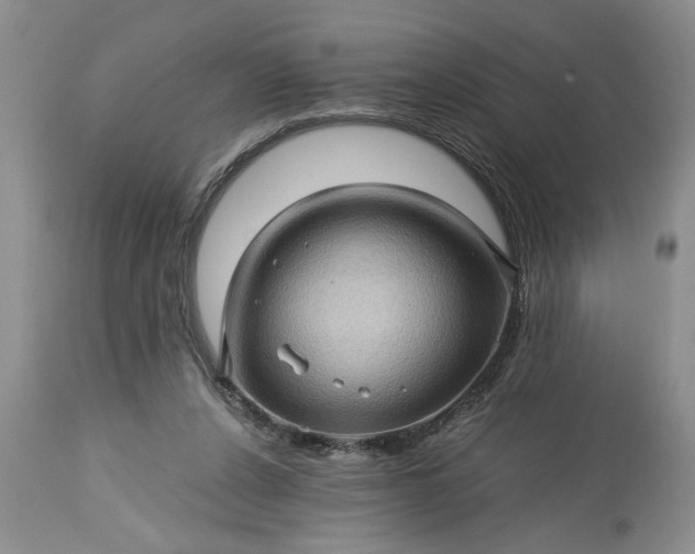 X0000113600256200910021747