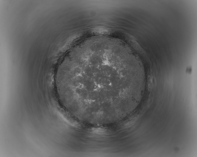 X0000113600259200910021747