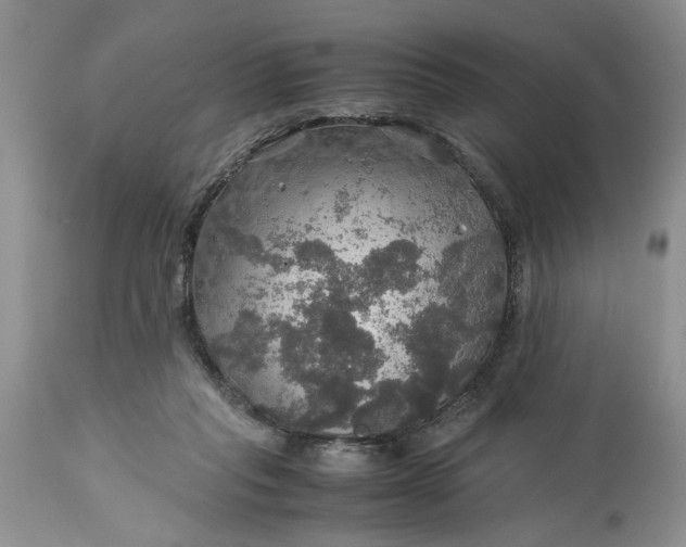 X0000113600261200910021747