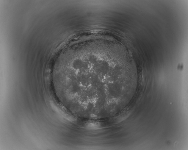 X0000113600263200910021747