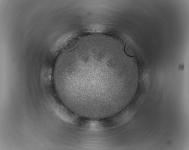 X0000113600264200910021747