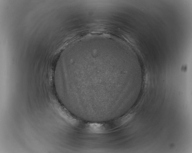 X0000113600265200910021747